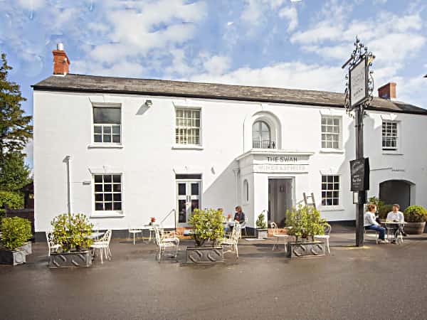Swan Wedmore