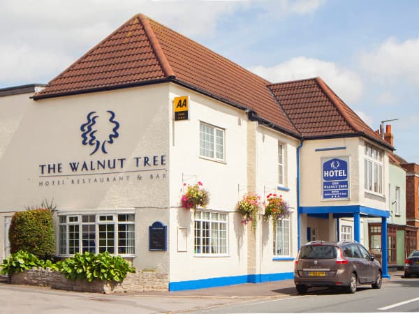 Walnut Tree North Petherton